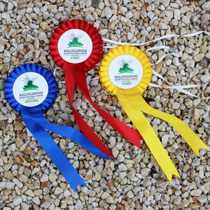 One Tier Rosette with Two PRINTED Tails