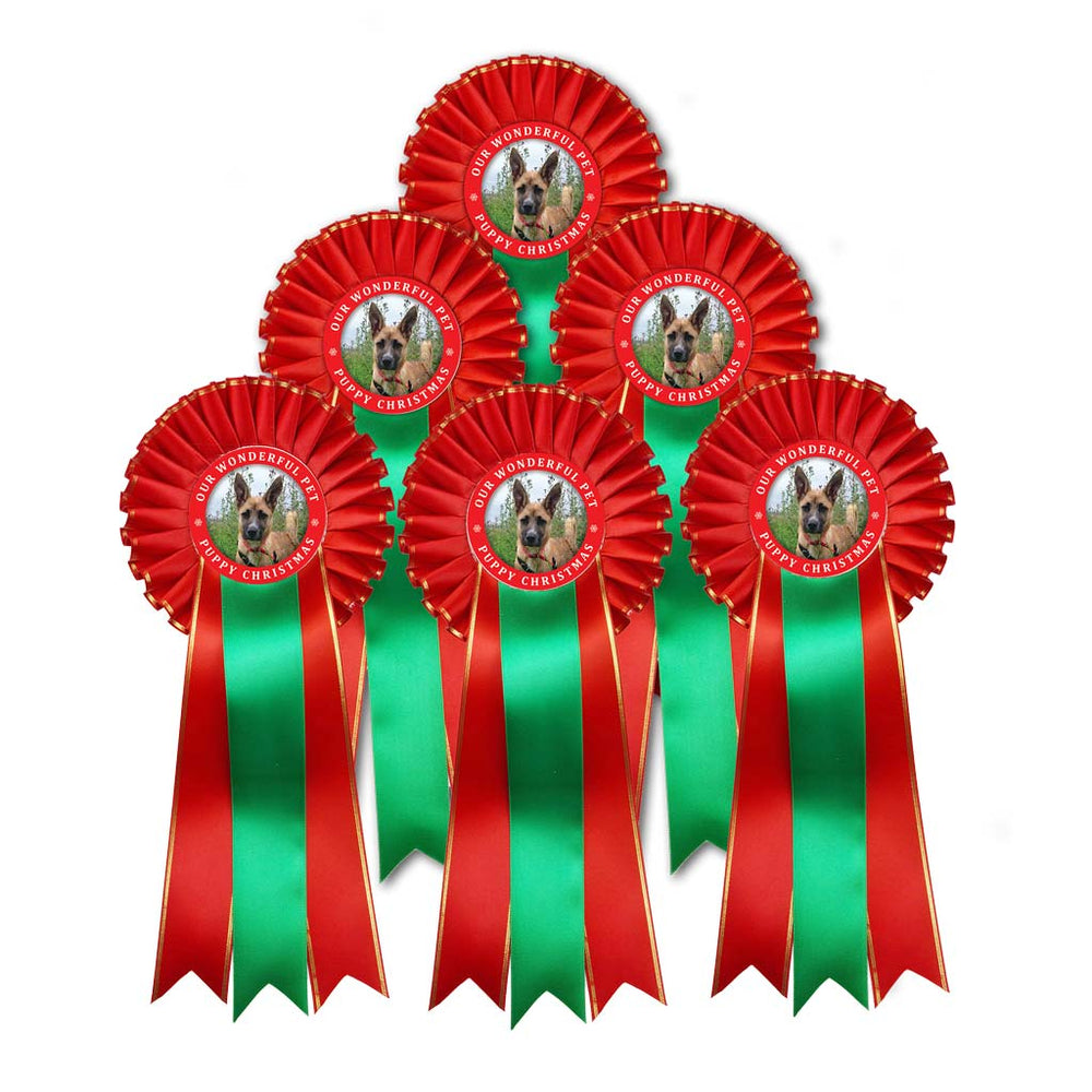 Christmas Rosettes - Set of Six
