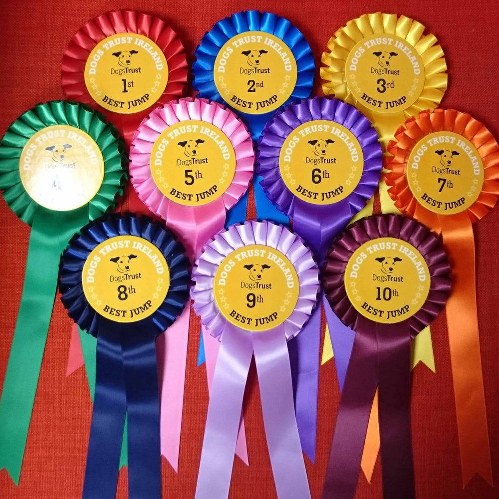 One Tier Rosette with One PRINTED Tail
