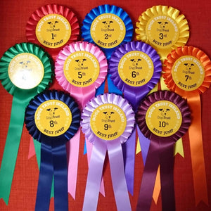 One Tier Rosette with One PRINTED Tail