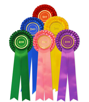 
            
                Load image into Gallery viewer, Two-Tier Elizabethan Pleat Rosette Pack 1st-6th
            
        